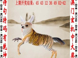 天天好彩免费资料大全(2025年免费资料免费下载入口)