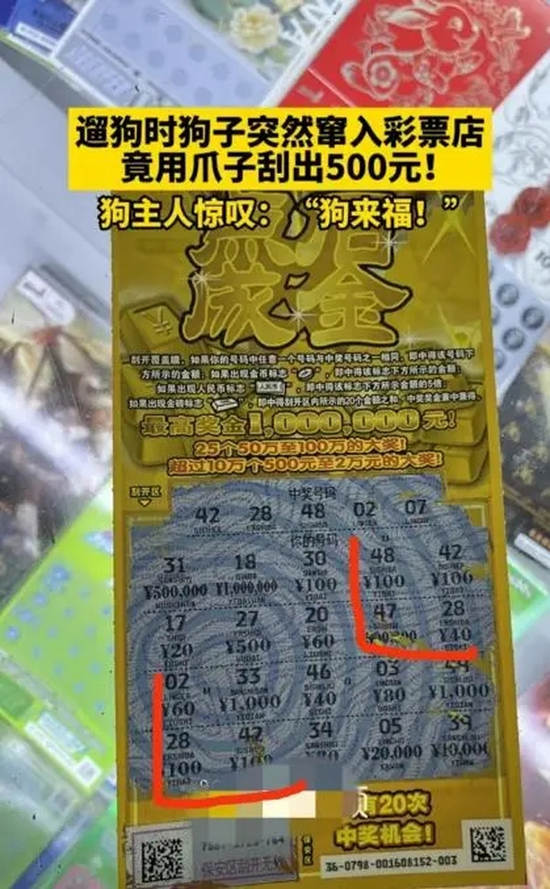 500彩票电脑版旧版(500彩票电脑版旧版点击最快进A5好平台直接org) 500彩票电脑版旧版(500彩票电脑版旧版点击最快进A5好平台直接org)